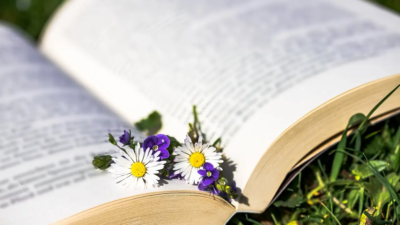 Saute-Ruisseaux_ Balade_Lecture(1)
