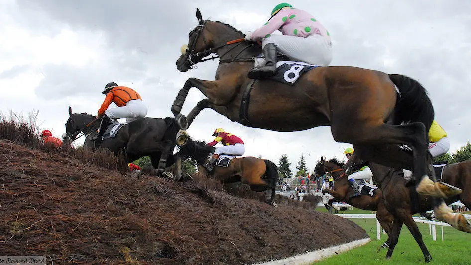 Société des Courses du Pertre Passage du fence le 28 juillet 2013