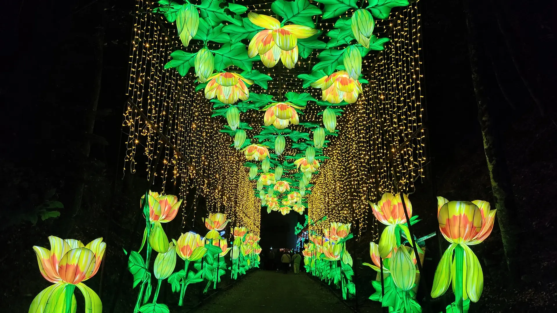 Sortie féérique hors-saison