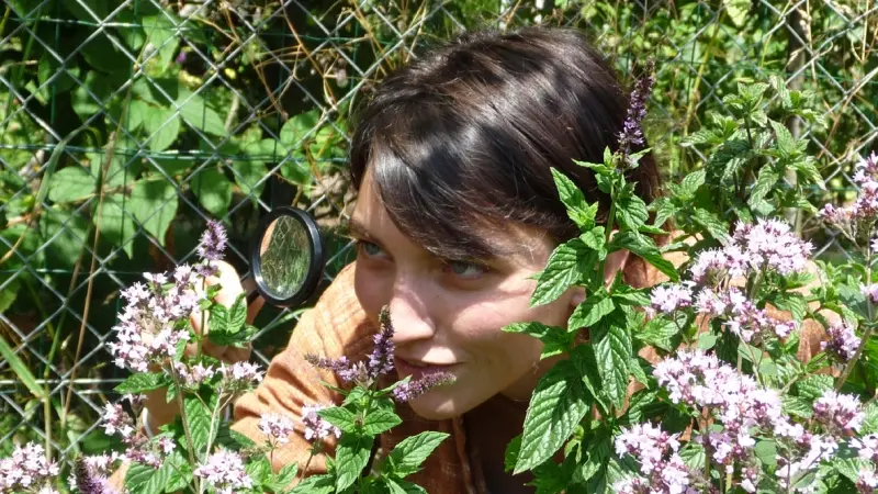 sortie_nature_cpie_foret_de_brocéliande_Morbihan