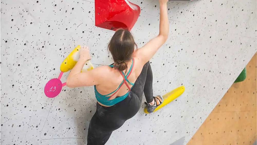 The Roof Rennes - Maison de l'escalade