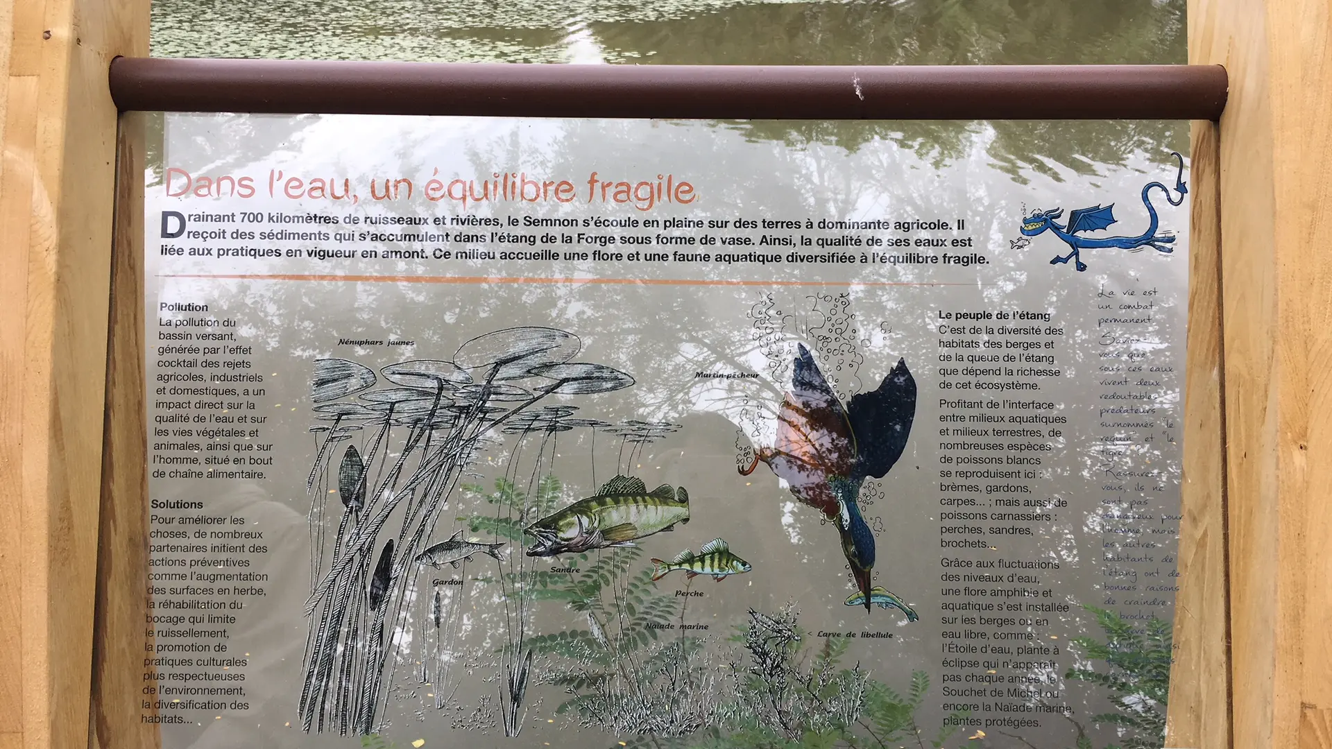 Tourisme_Martigné_sentierinterprétation6©RocheaauxFéesCommunauté