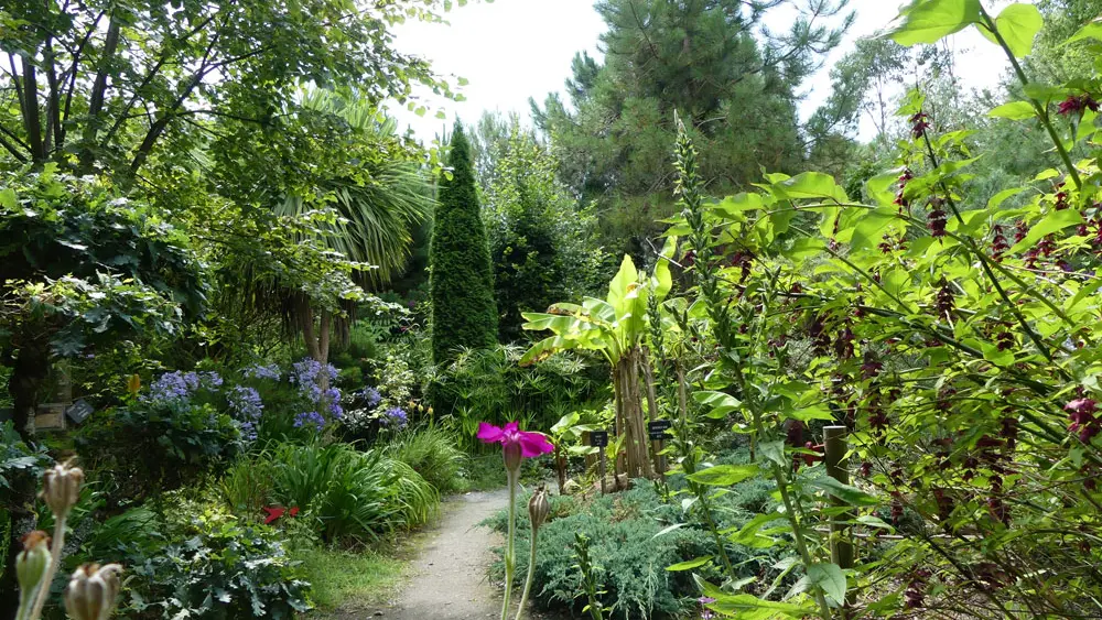 Tropicarium Bonsaï La Baule