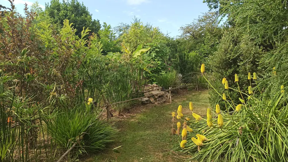 Tropicarium Bonsaï La Baule