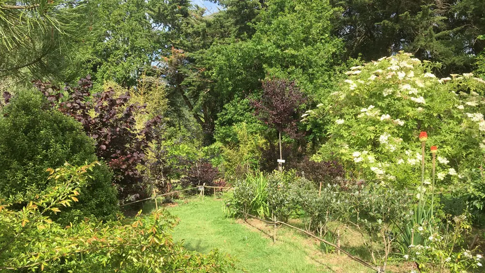Tropicarium Bonsaï La Baule