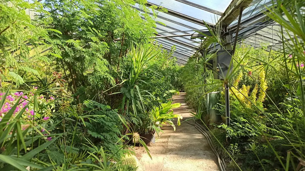 Tropicarium Bonsaï La Baule