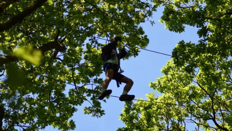 Passage entre les arbres
