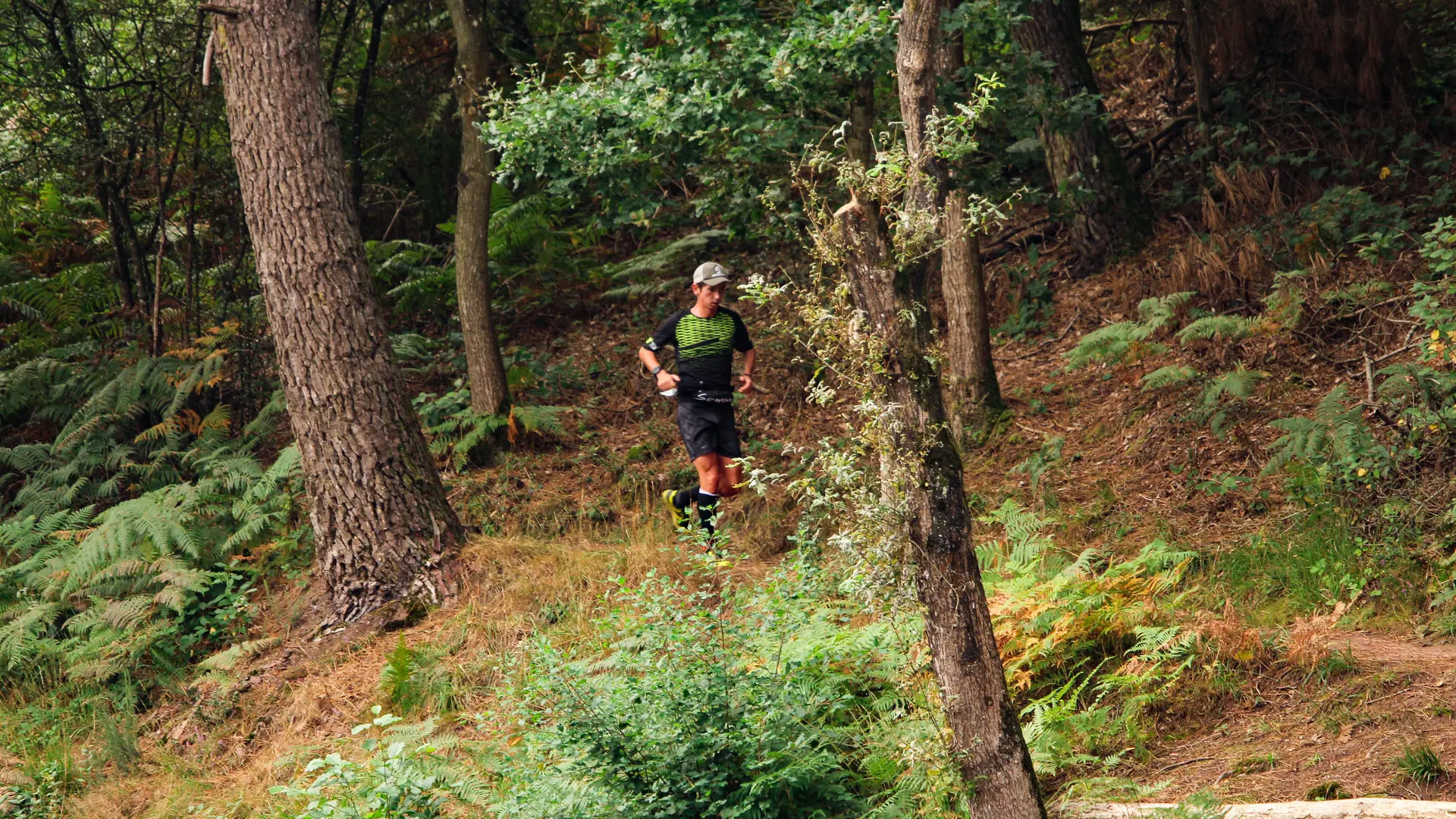 Trail des Légendes de Brocéliande