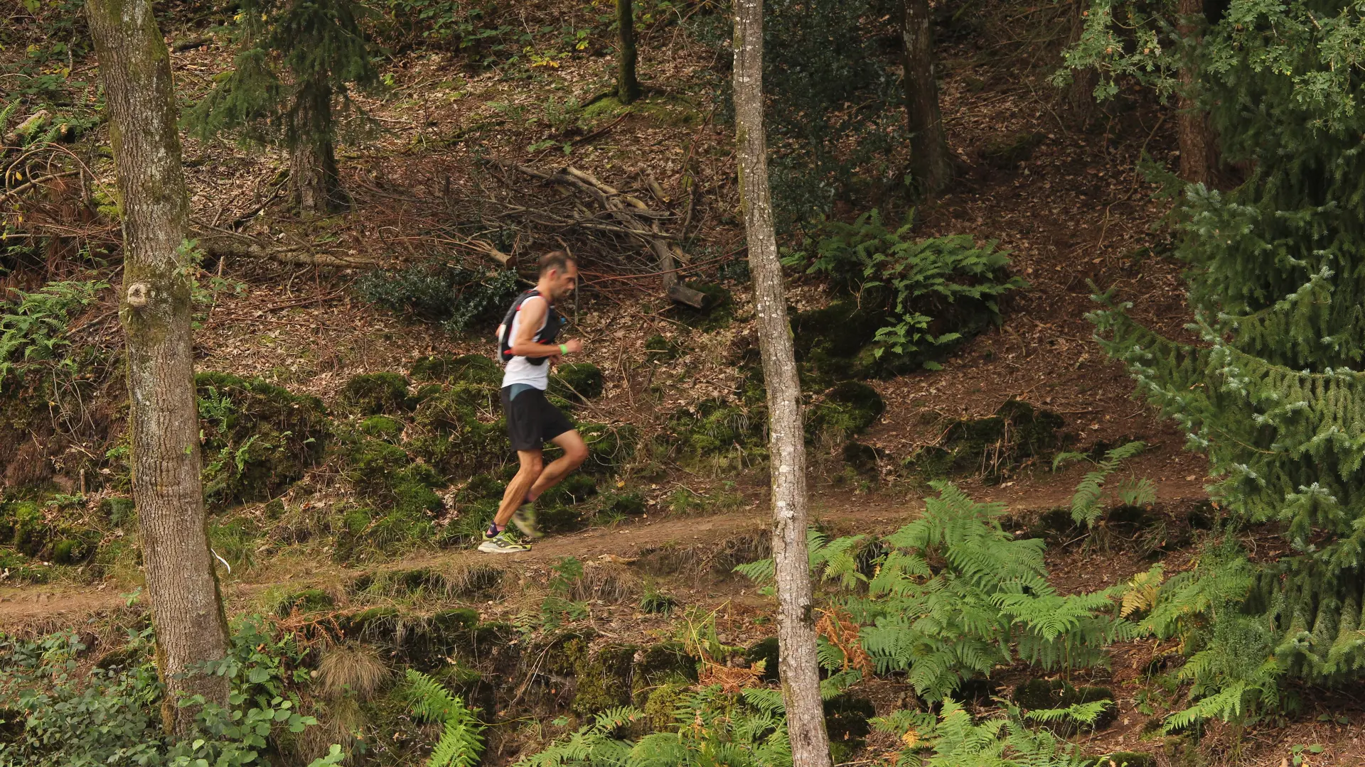 Trail des Légendes de Brocéliande