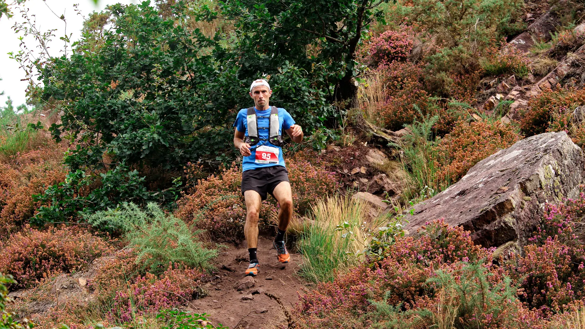 Trail des Légendes de Brocéliande ©Sarah ANNE (98)-2