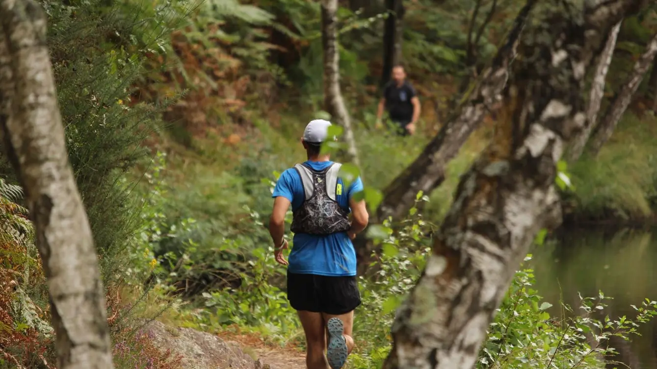 Trail des légendes de Brocéliande