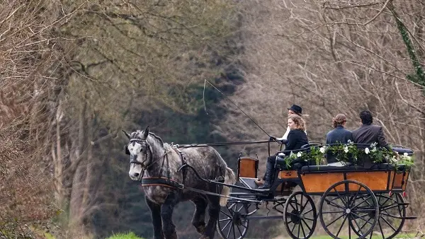 Trait d'Union mariage 3