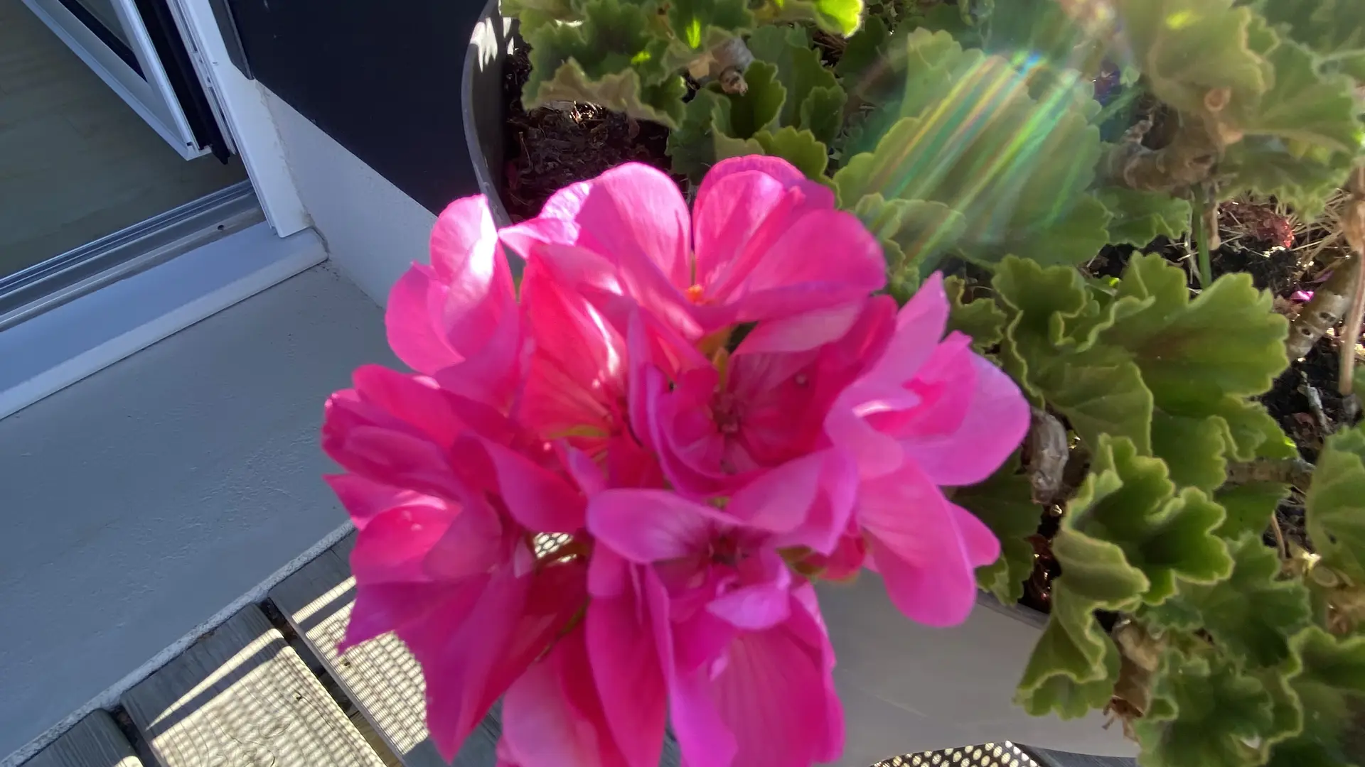 TyfanchHouatQuiberon2