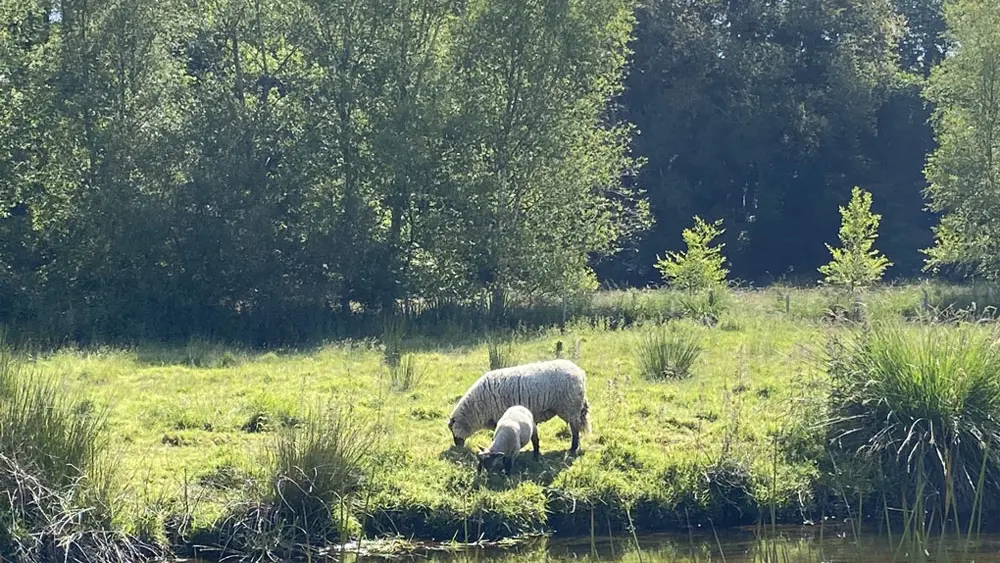 Le Moulin des Hirondelles