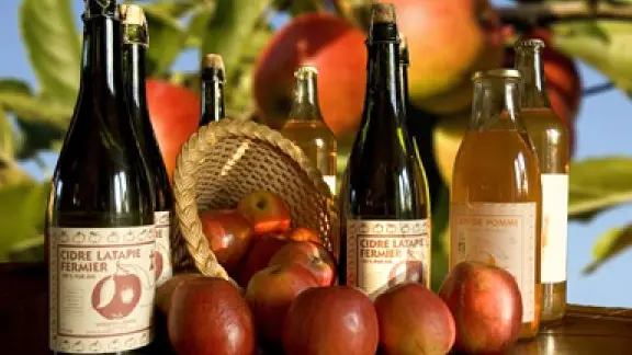 Vergers bio latapie cidre