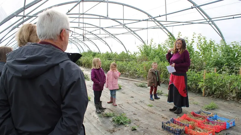 Visite Les Jardins des Coccinelles