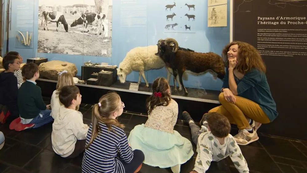 Musée de Préhistoire de Carnac
