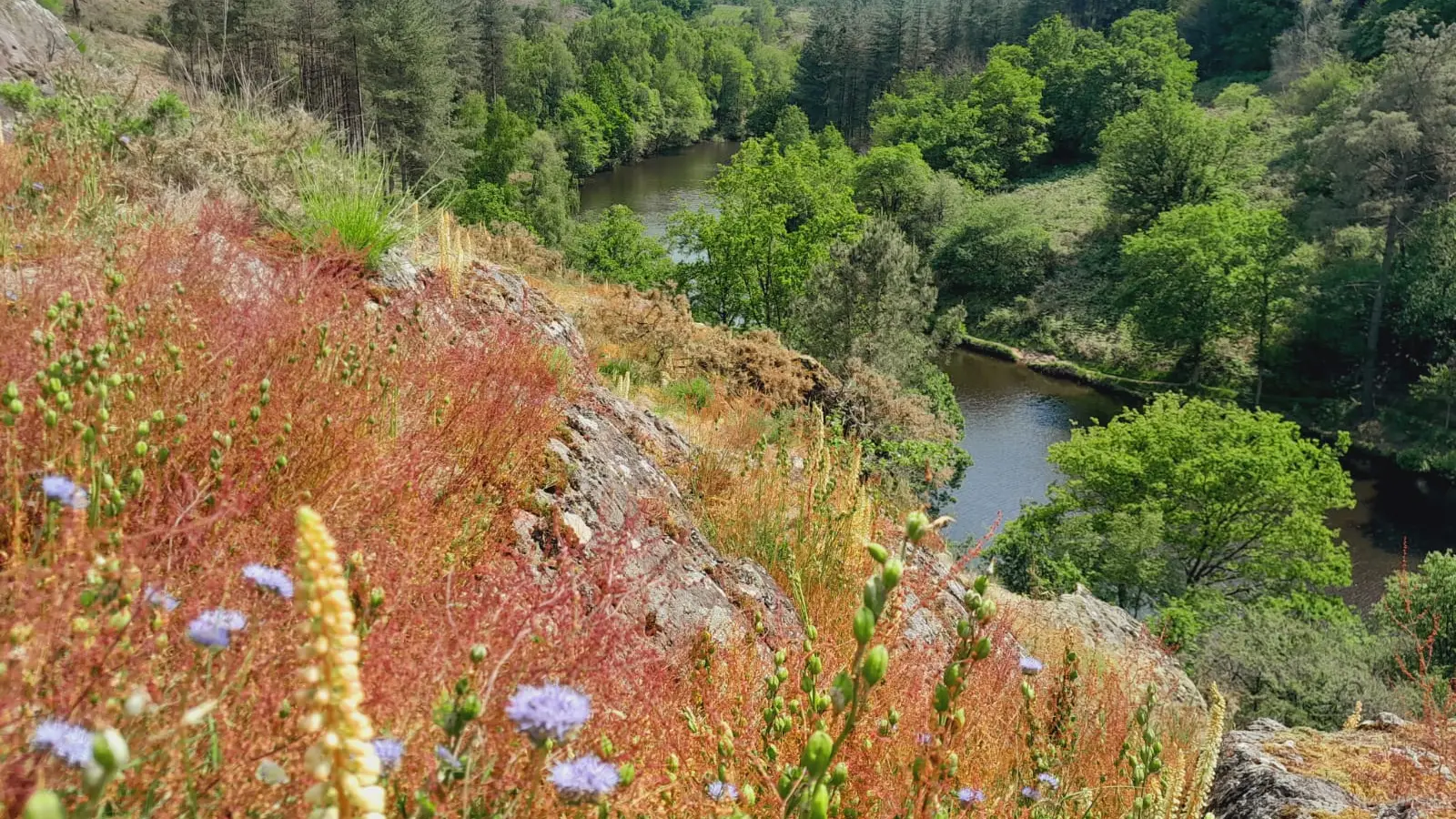 WhatsRandonnée vallon de la chambre au Loup IfApp Image 2023-05-25 at 11.22.59-1