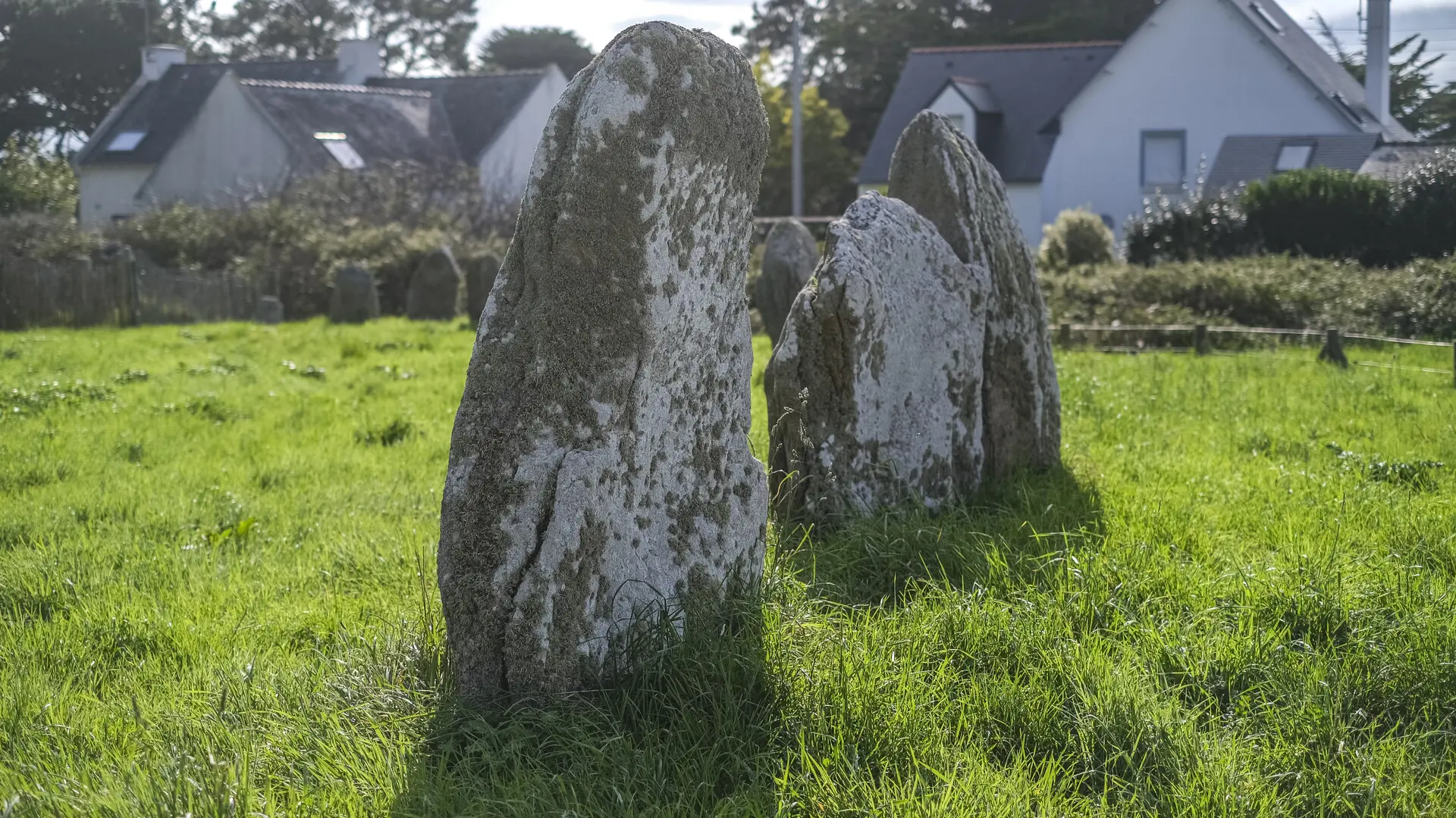 Zulaan - Kerbourgnec - 00005.jpg_compressed