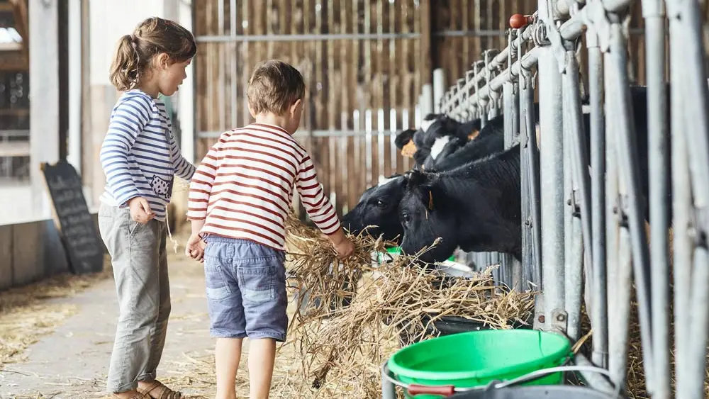 La petite Reine de Rhuys