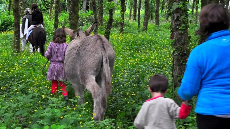 domaine de Kernanou - activités équestres - Ploërmel - Brocéliande – Bretagne