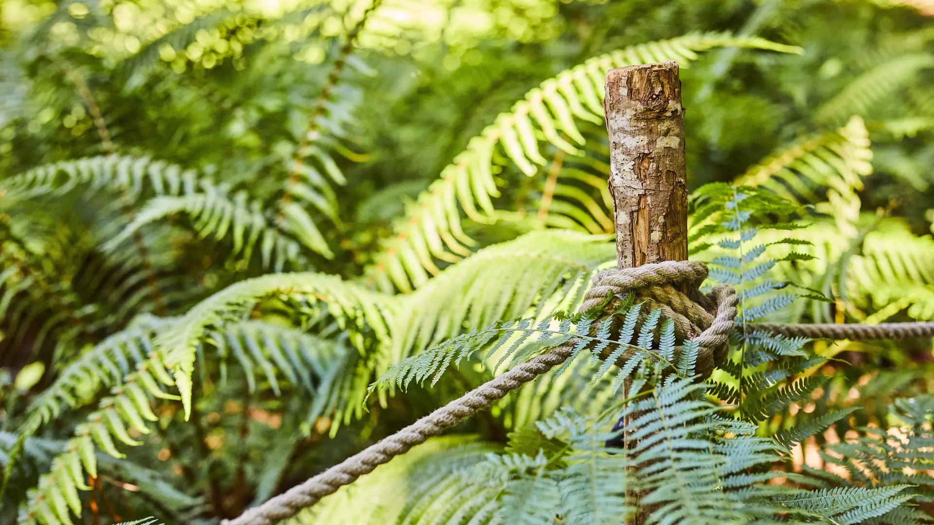 stcastaventure-St-Cast-jenesaispas-AlexandreLamoureux