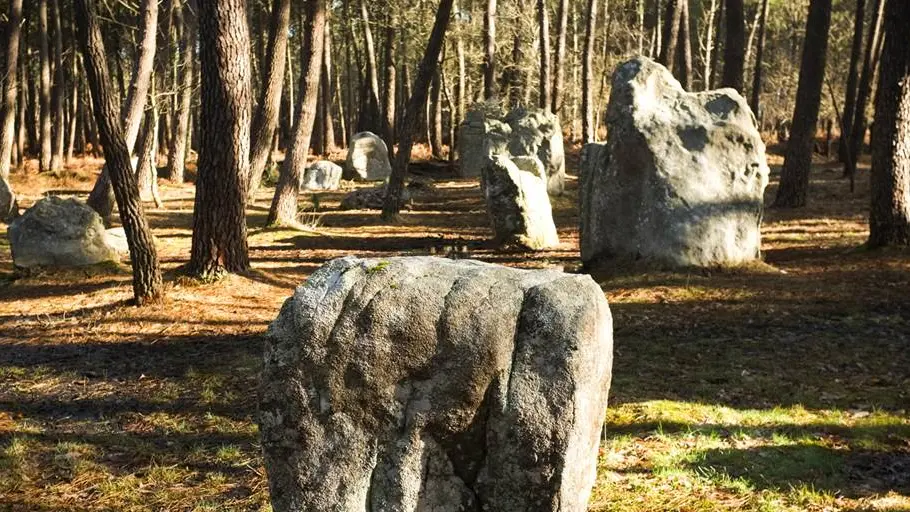 Alignements de Coet er Blei Erdeven - Morbihan Bretagne sud (4)