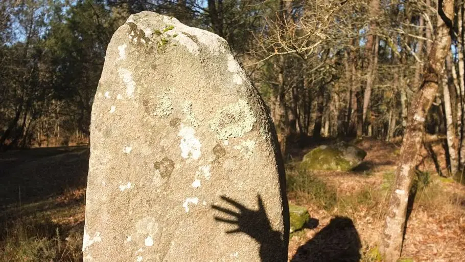Alignements de Coet er Blei Erdeven - Morbihan Bretagne sud (5)
