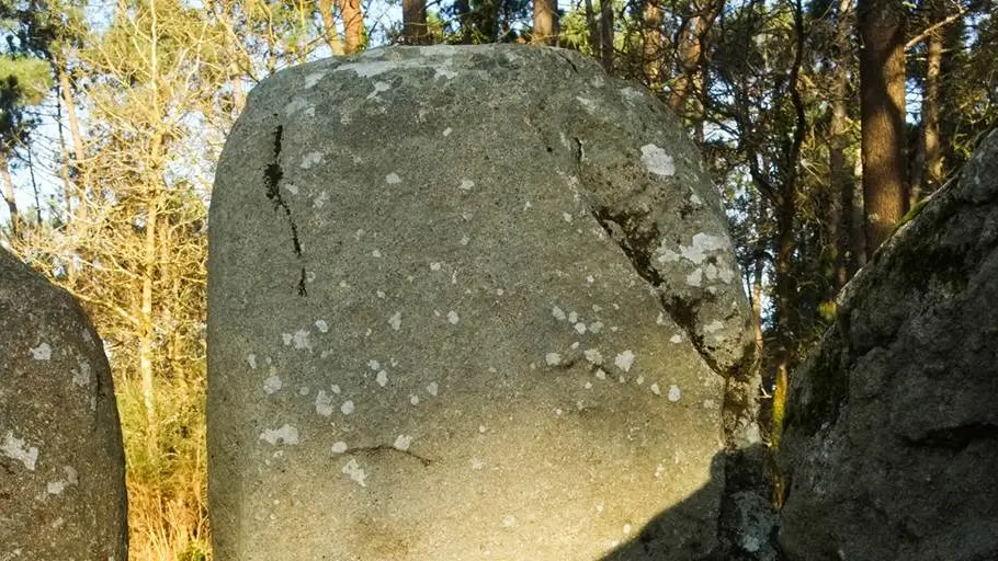 Alignements de Coet er Blei Erdeven - Morbihan Bretagne sud (1)