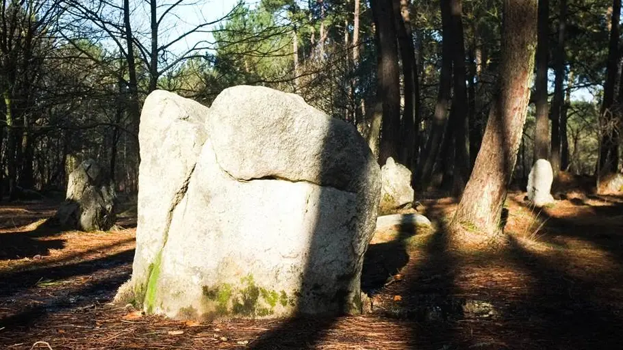 Alignements de Coet er Blei Erdeven - Morbihan Bretagne sud (2)