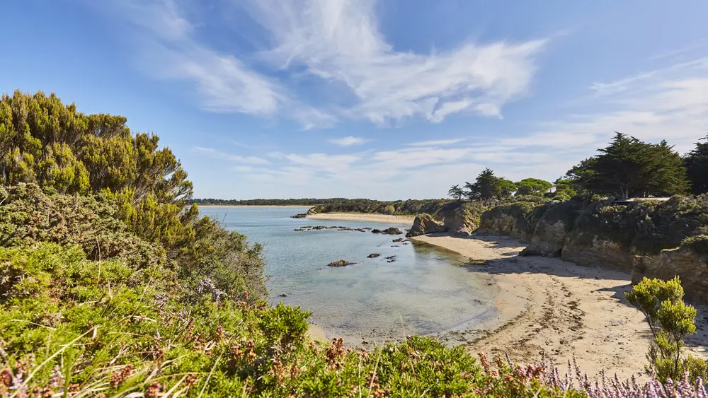assérac-fiche-2-PresquileGuerande2019@alamoureux_MG_6056