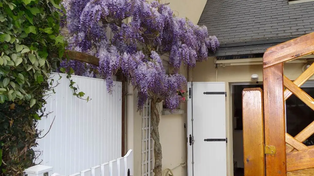 Clévacances - Meublé 056MS000324 - Les Glycines : maison terrasse plein sud à 300m de la mer et des commerces - Arzon - Morbihan Bretagne Sud