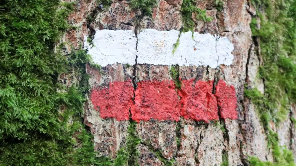 Clévacances - Meublé 056MS000255 - Location de vacances Gîte 2 pers rénové et au calme MORBIHAN PONT-SCORFF - Cléguer - Morbihan Bretagne Sud