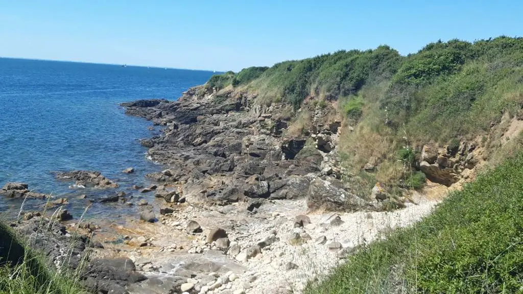 Clévacances - Meublé 056MS000213 - Appartement lumineux proche de tout (commerces, port du Crouesty, plage, thalasso...) - Arzon - Morbihan Bretagne Sud