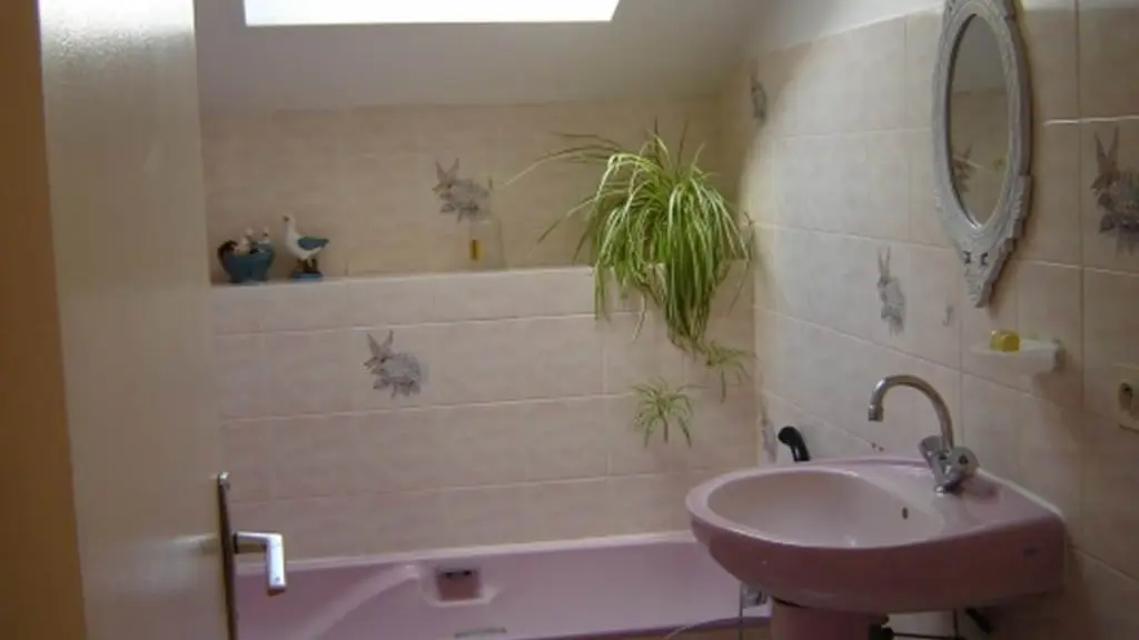 Clévacances - Meublé 056MS000319 - Golfe du Morbihan : Gite du champ des oiseaux aux portes de Vannes - Saint-Avé - Morbihan Bretagne Sud