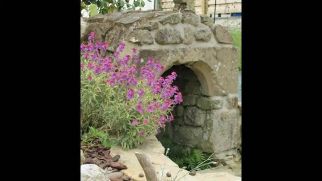 Clévacances - Meublé 56MS1212 - Charmant studio avec jardin privatif Golfe du Morbihan - Baden - Morbihan Bretagne Sud