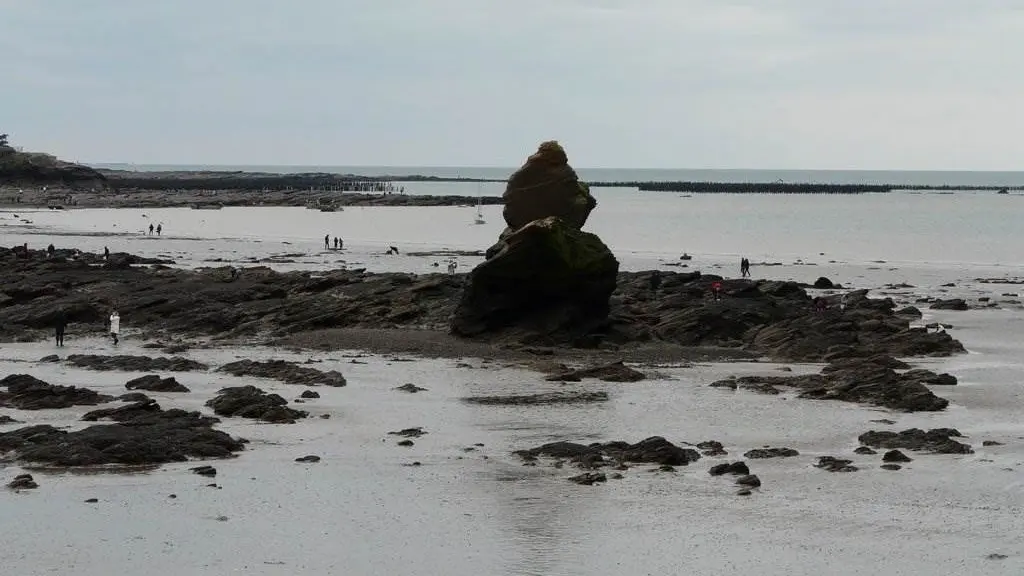 Clévacances - Meublé 056MS000067 - Maison tout confort avec jardin clos et arboré à moins de 100m de la plage de la Mine d'Or. Bretagne sud. - Pénestin - Morbihan Bretagne Sud