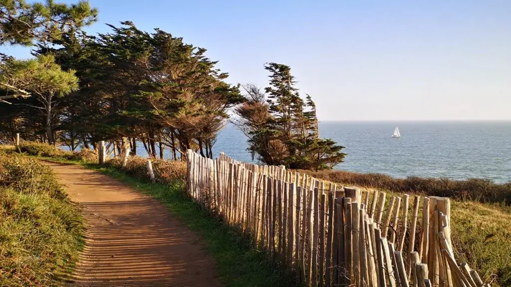 Clévacances - Meublé 56MS1140 - Appartement  Port du Crouesty -  Arzon 46m2 - 2 chambres - 200m des plages proche des sentiers côtiers - Arzon - Morbihan Bretagne Sud