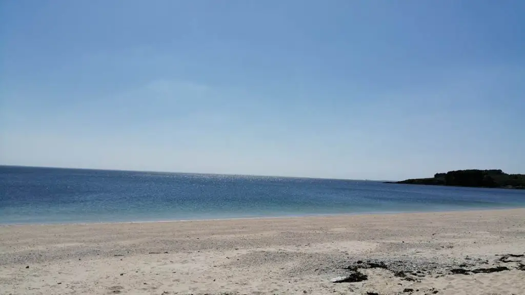 Clévacances - Meublé 56MS1097 - APPARTEMENT PORT DU CROUESTY - ARZON - Arzon - Morbihan Bretagne Sud