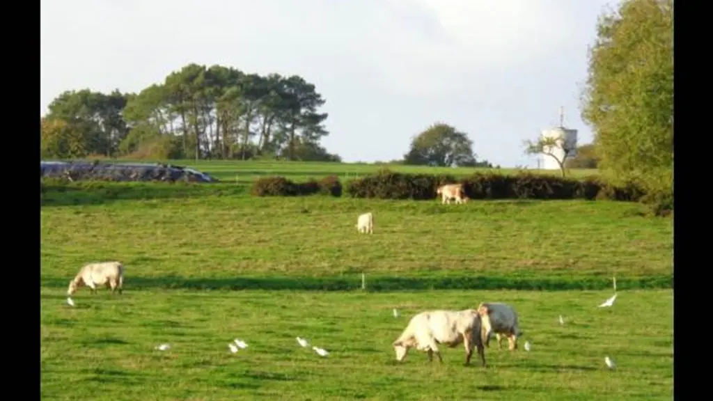 Clévacances - Meublé 056MS000296 - Maison plain-pied tout confort, à 5mn des plages, GOLFE DU MORBIHAN - Baden - Morbihan Bretagne Sud