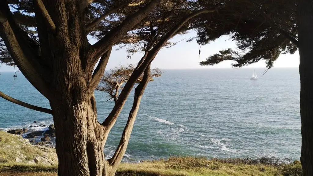 Clévacances - Meublé 56MS1140 - Appartement  Port du Crouesty -  Arzon 46m2 - 2 chambres - 200m des plages proche des sentiers côtiers - Arzon - Morbihan Bretagne Sud