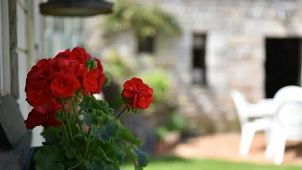 Clévacances - Meublé 56MS0142 - Longère rénovée tout confort à 500m des plages en Bretagne sud - Larmor-Plage - Morbihan Bretagne Sud