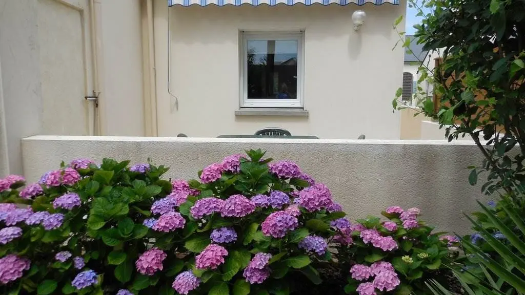 Clévacances - Meublé 056MS000325 - Maison mitoyenne les Camélias proche des plages, ports de plaisance et Golfe du Morbihan. - Arzon - Morbihan Bretagne Sud