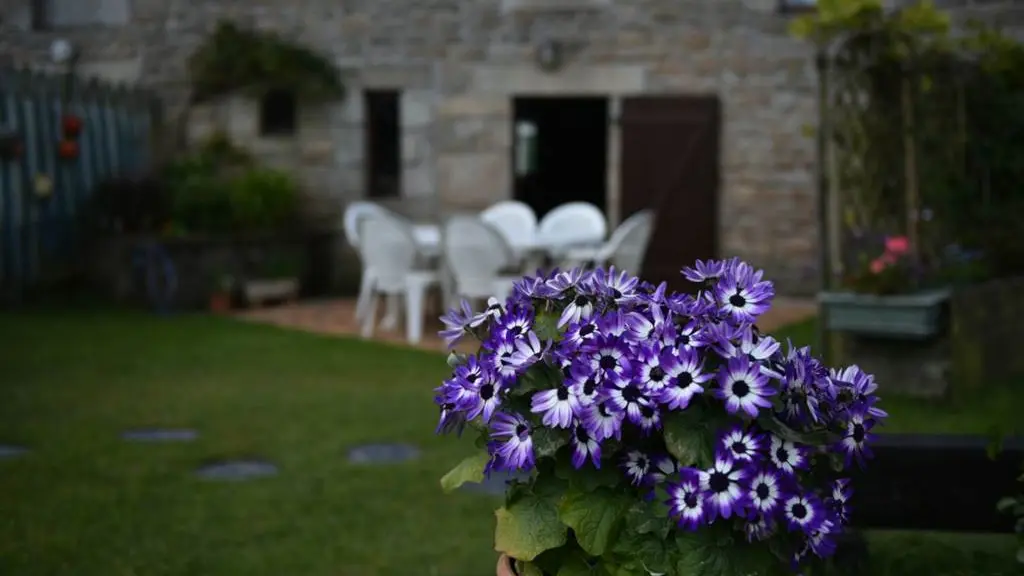 Clévacances - Meublé 56MS0142 - Longère rénovée tout confort à 500m des plages en Bretagne sud - Larmor-Plage - Morbihan Bretagne Sud