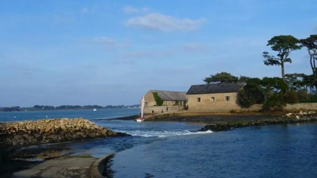 Clévacances - Meublé 56MS1212 - Charmant studio avec jardin privatif Golfe du Morbihan - Baden - Morbihan Bretagne Sud