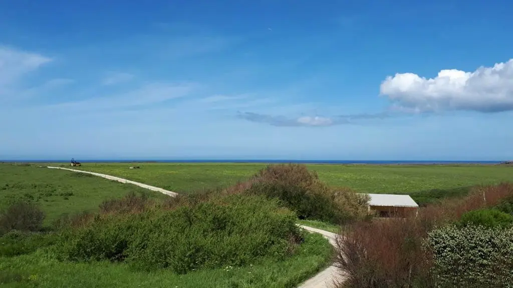 Clévacances - Meublé 056MS000385 - Maison tout confort, au calme, à 200m de la plage et de la côte sauvage, vue mer à BELLE ILE - Bangor - Morbihan Bretagne Sud