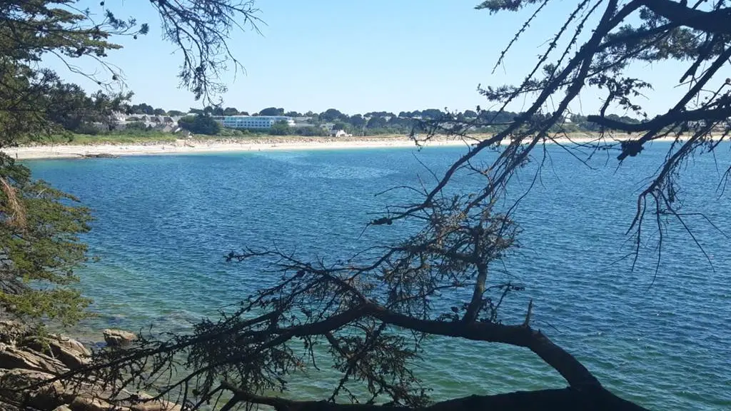 Clévacances - Meublé 056MS000213 - Appartement lumineux proche de tout (commerces, port du Crouesty, plage, thalasso...) - Arzon - Morbihan Bretagne Sud