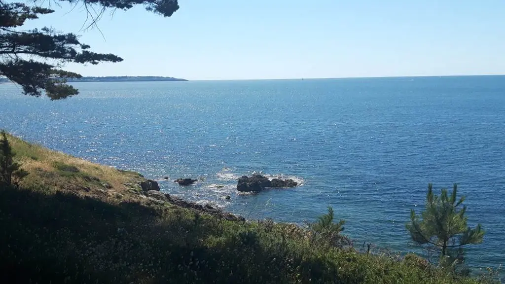 Clévacances - Meublé 056MS000213 - Appartement lumineux proche de tout (commerces, port du Crouesty, plage, thalasso...) - Arzon - Morbihan Bretagne Sud