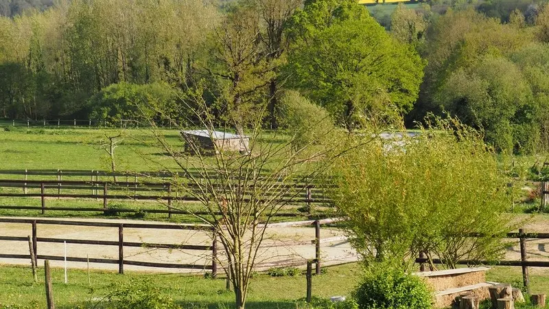 beautÚ-du-paysage-la-claie-des-landes