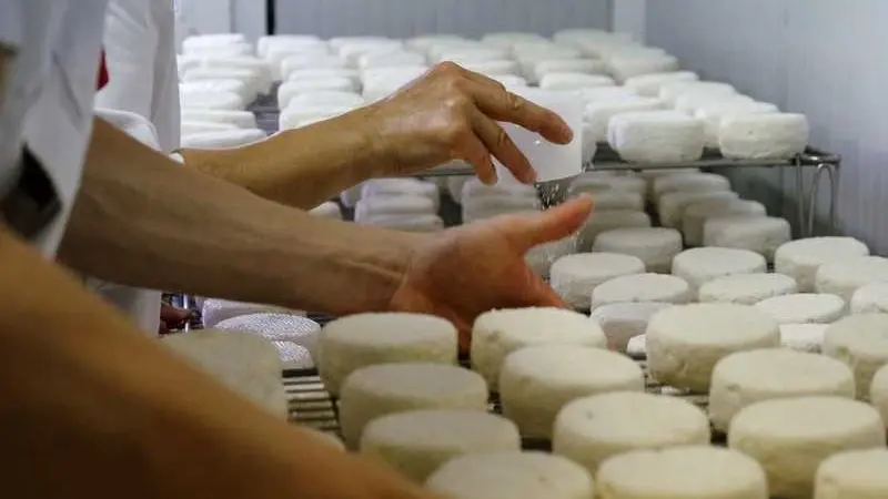 fromagerie - chèvres - Campénéac - Brocéliande